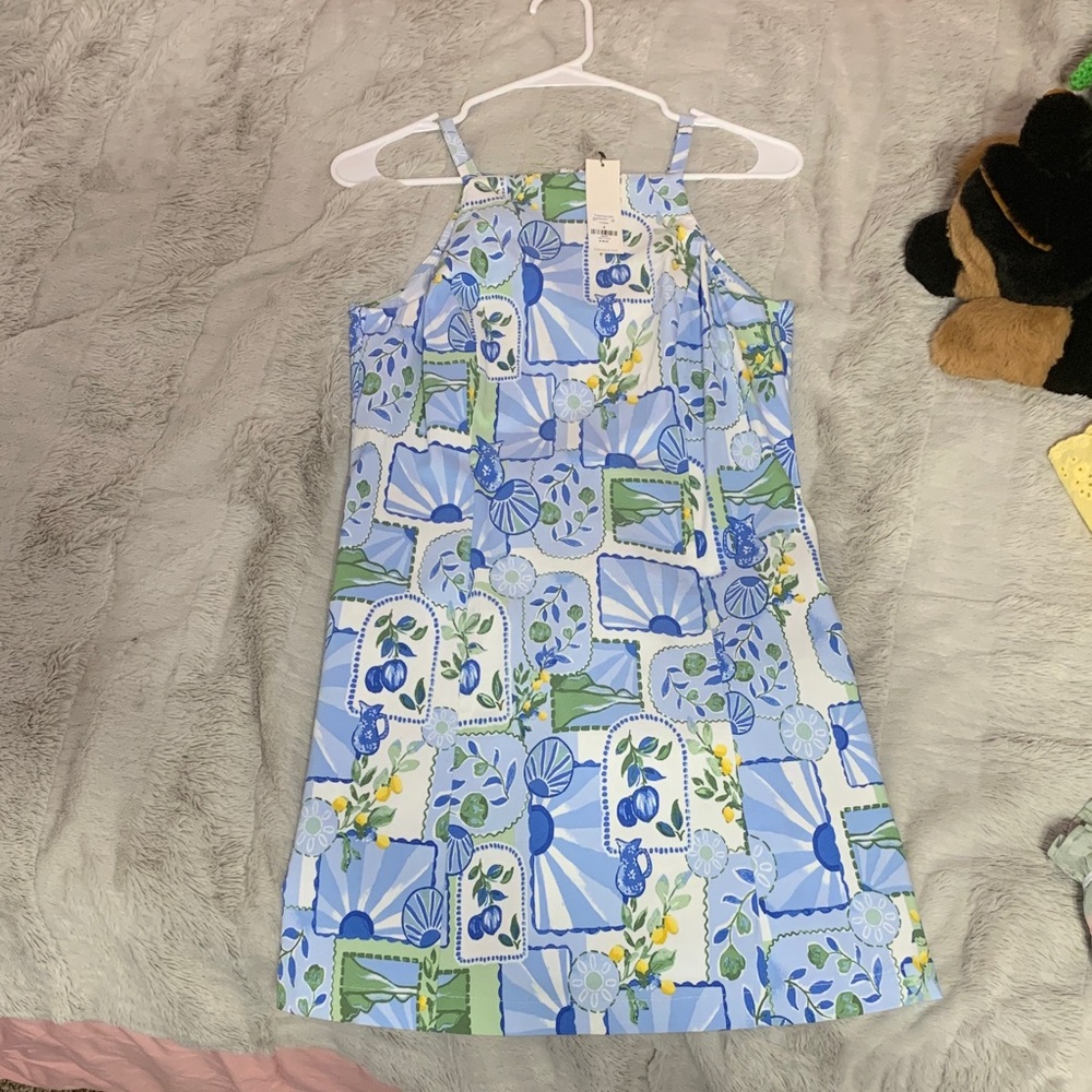 Francesca’s Brunch Dress
